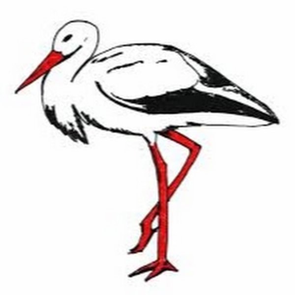 Аист с ребенком