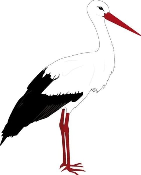 Целищев Геннадий Дмитриевич художник