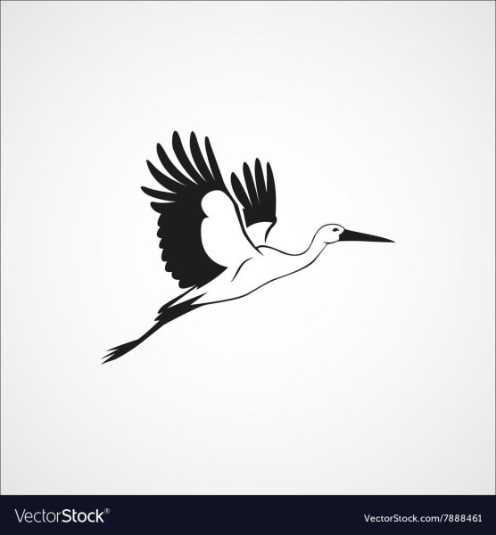 Аист для рисования