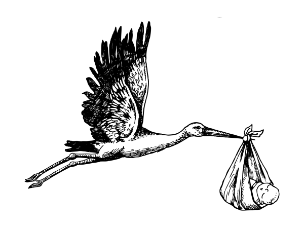 Аист рисунок для детей карандашом