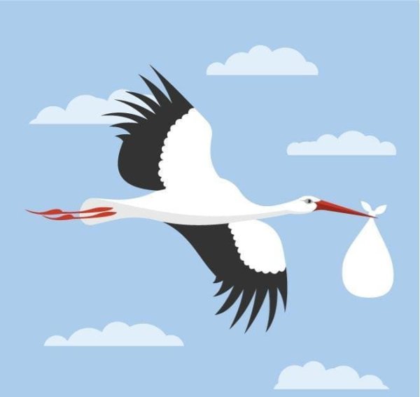 Аист раскраска для детей