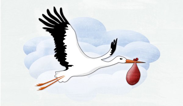 Аист с ребенком урок рисования