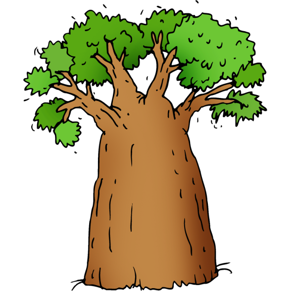 Баобаб рисунок