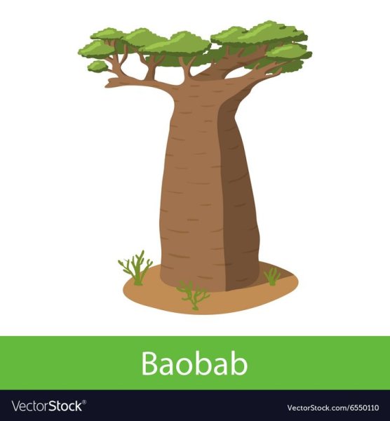 Нарисовать баобаб