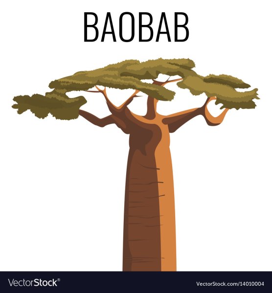 Баобаб рисунок для детей