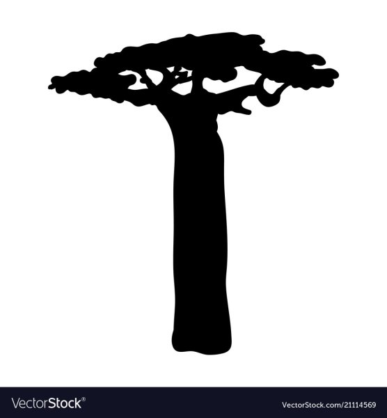 Дерево баобаб силуэт