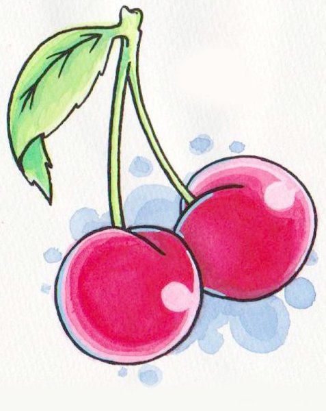 Вишенка набросок