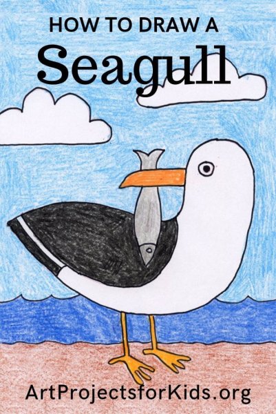 Чайка детский рисунок