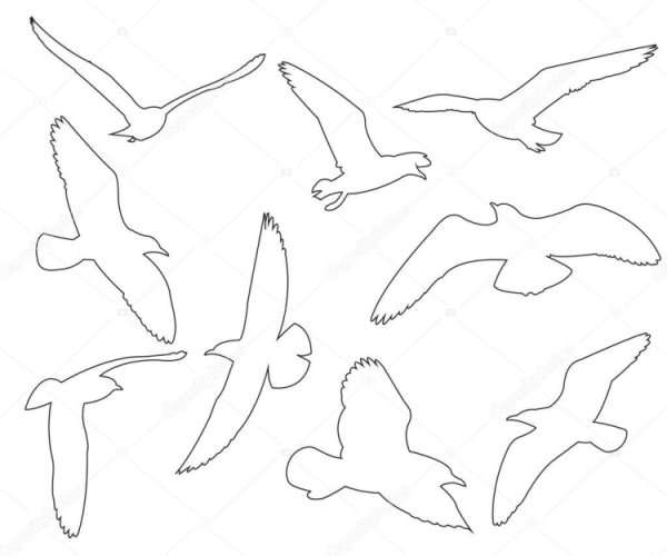 Трафарет Чайки