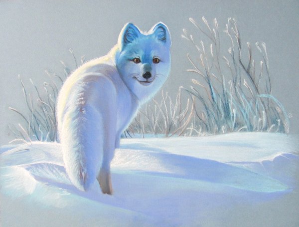 Животные пастелью