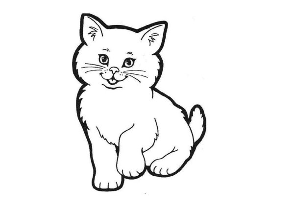 Раскраска. Котики