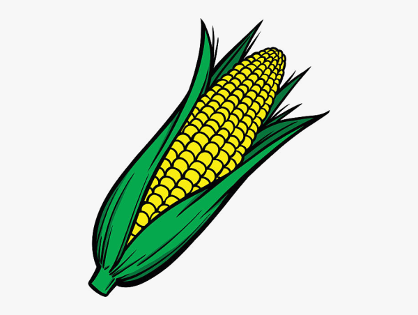 Початок кукурузы вектор