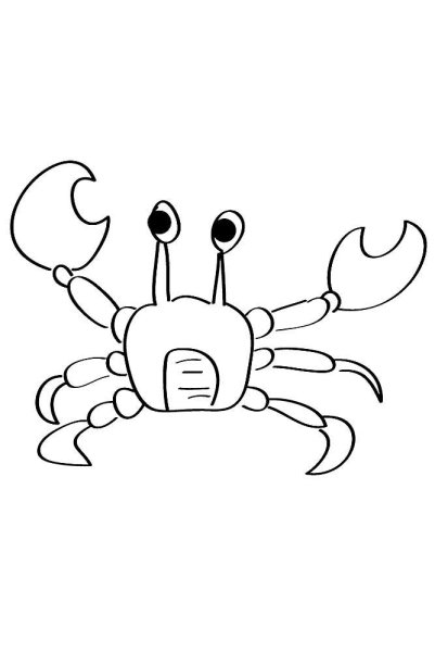Краб раскраска для детей