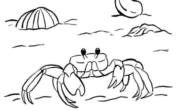 Пляж с крабами раскраска