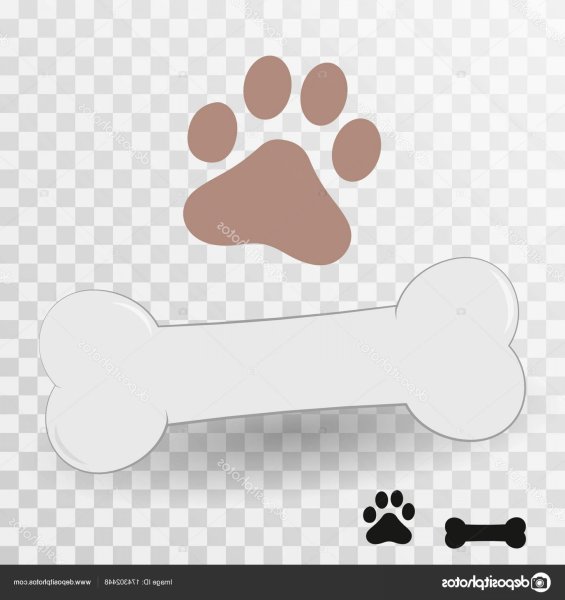 Косточка для собаки без фона