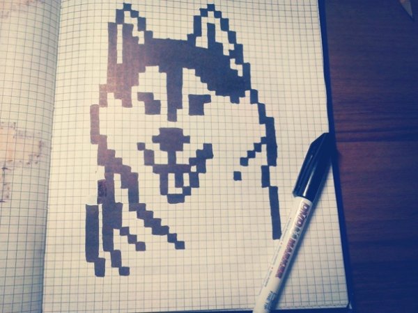 Рисунки по клеточкам в тетради