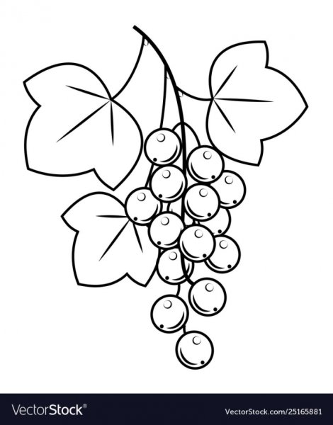 Смородина трафарет