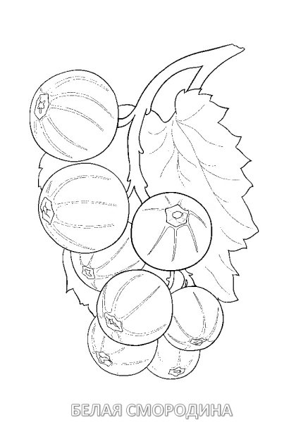 Лист смородины трафарет