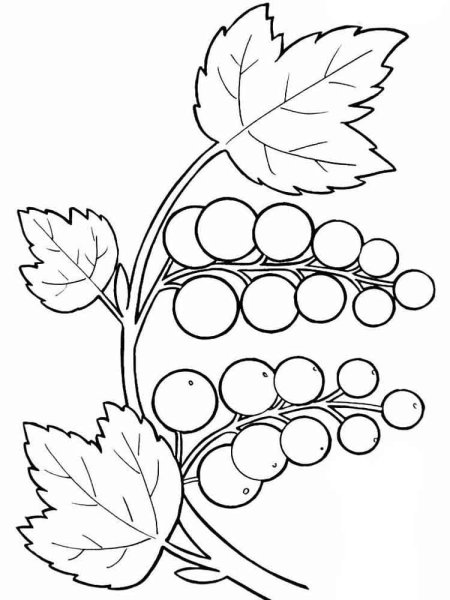 Стилизованные ягоды на ветке