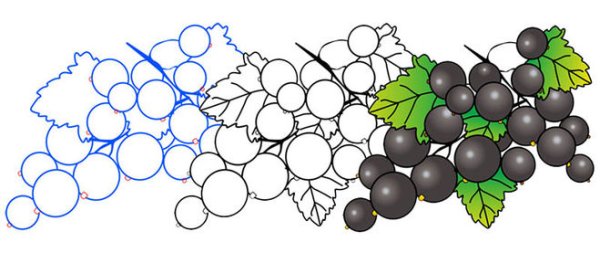 Ягоды рисование Графическое