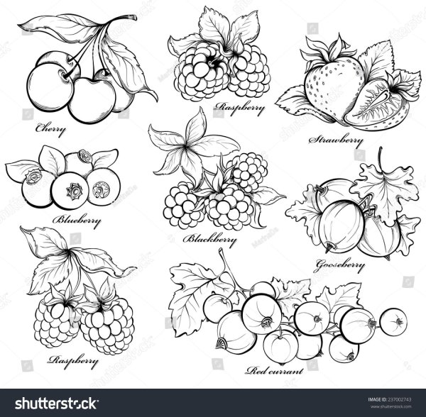 Смородина трафарет