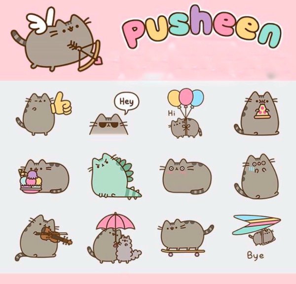 Котик Пушин с пончиком