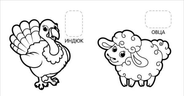 Рисунок по контуру индюк