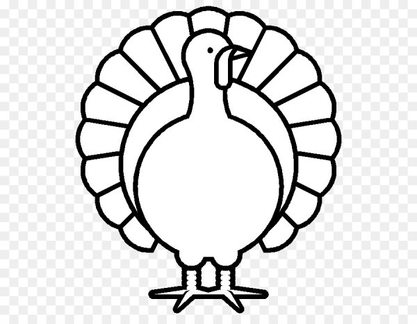 Индюк черно белый