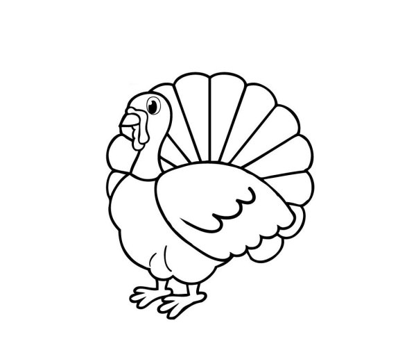 Индюк картинка для детей раскраска