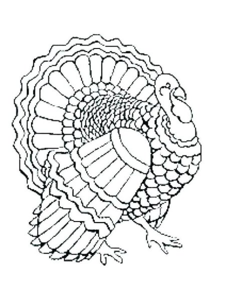 Индейка рисунок карандашом мультяшный