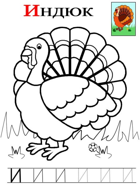 Индюк раскраска