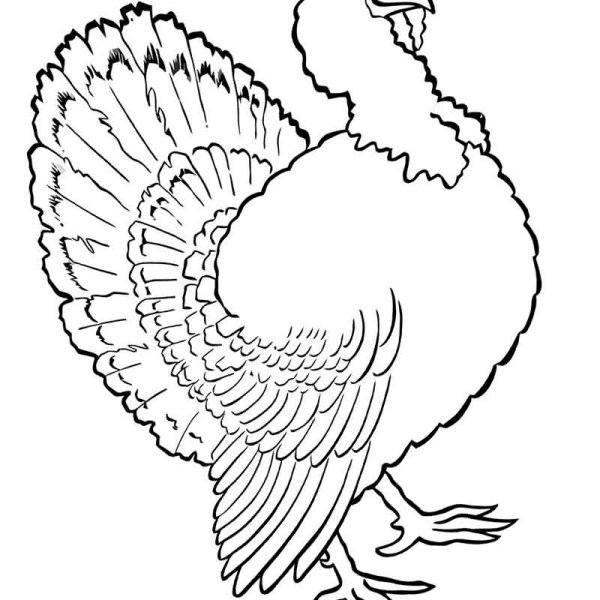 Раскраска индюк для детей 3-4 лет