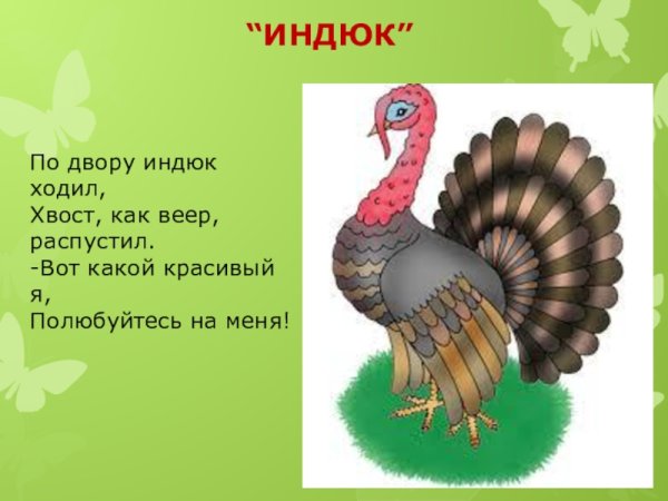 Домашние птицы раскраска для детей