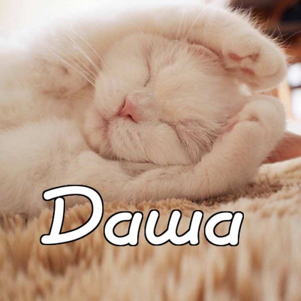 Имя Даша