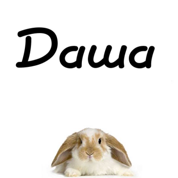 Обои с именем Даша