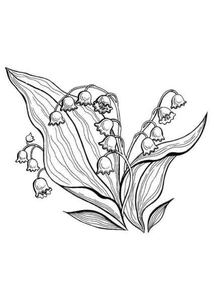 Ландыш Майский разукрашка