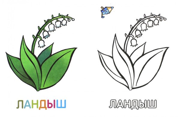 Нарисовать Ландыш