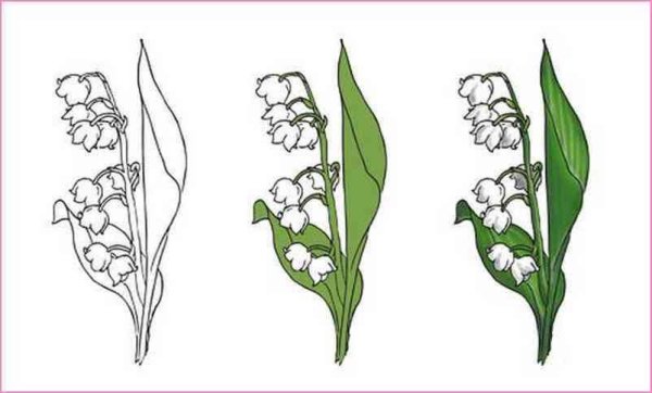 Ландыш Майский раскраска