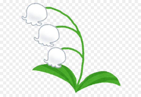 Схема цветка ландыша карандашом