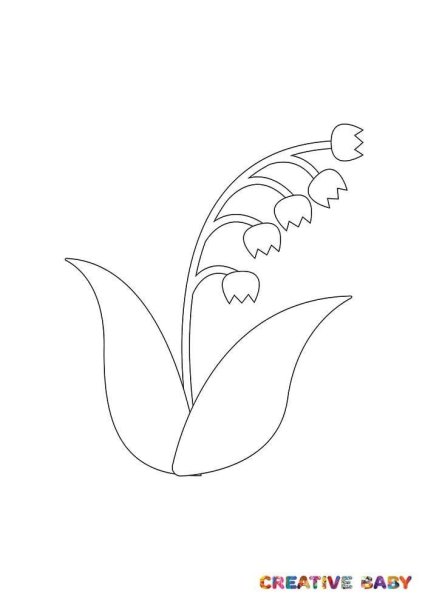 Ландыш картинка для детей