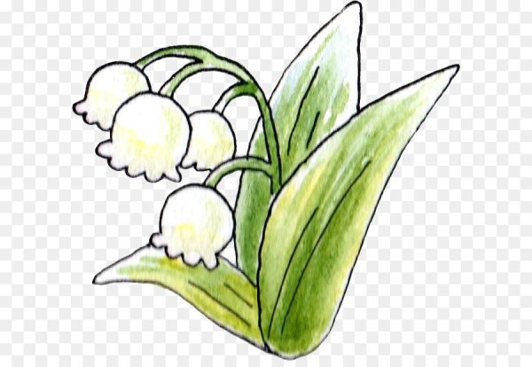 Ландыш эскиз