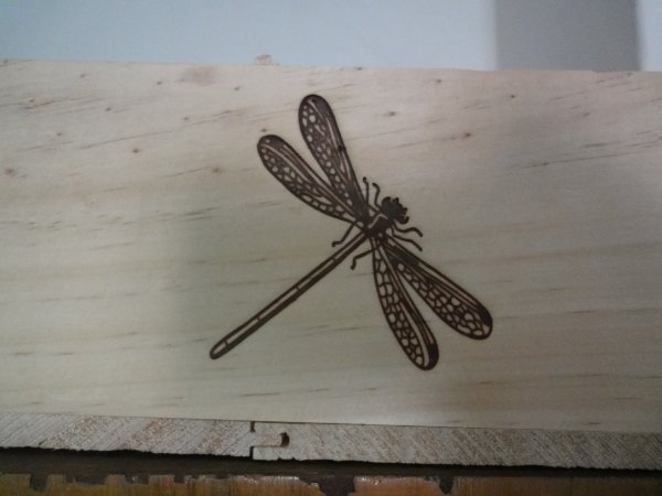 Насекомые из дерева