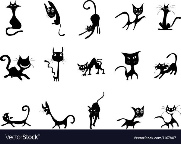 Силуэт смешной кошки