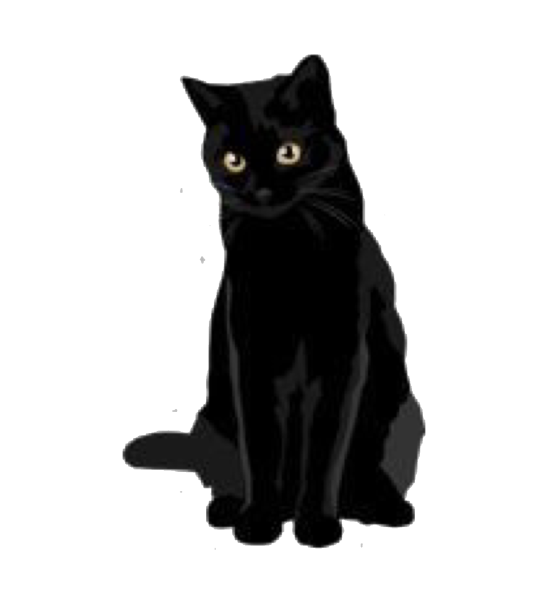 Черная кошка