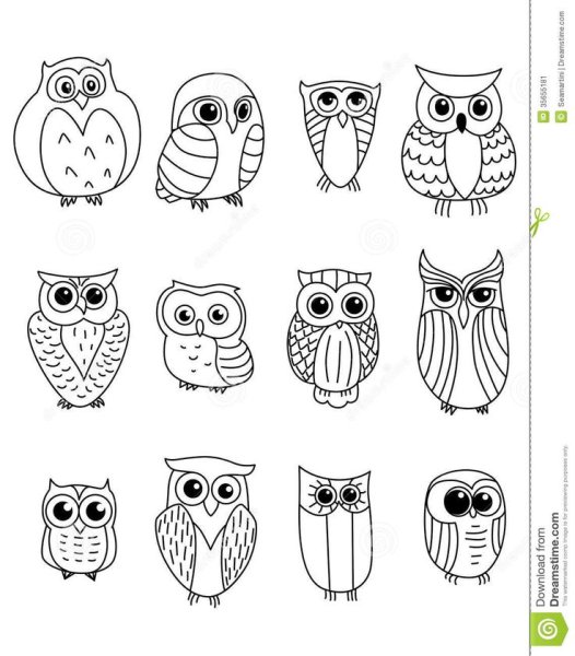 Раскраска Сова маленькая