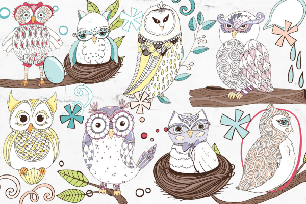 Раскраски Совушки маленькие