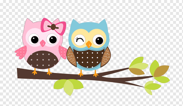 Рисунки Совы легкие