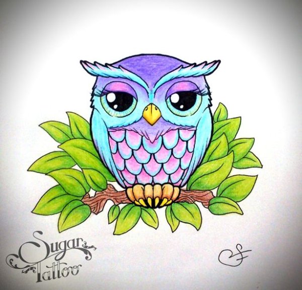 Сова Букля из Гарри Поттера