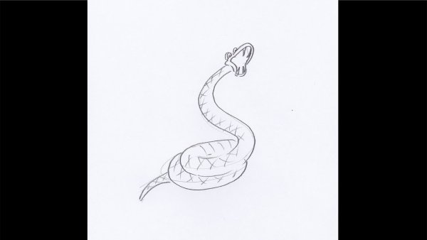 Змея из маленького принца