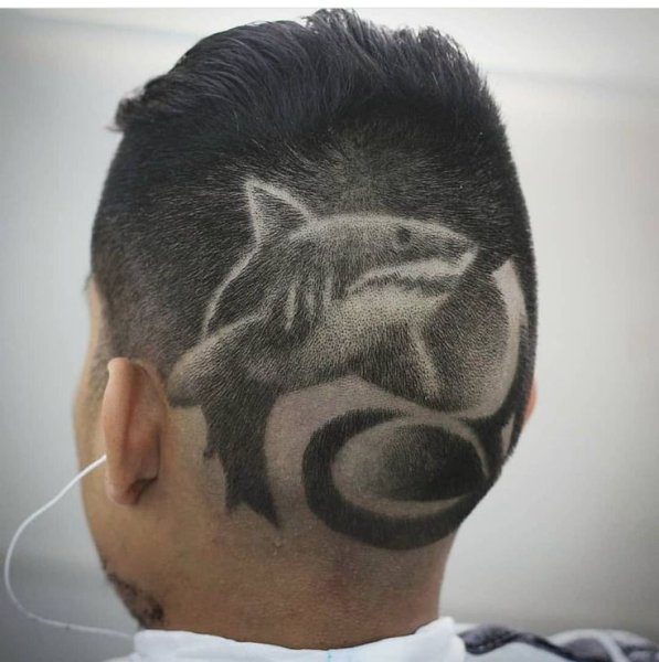 Рисунки на голове